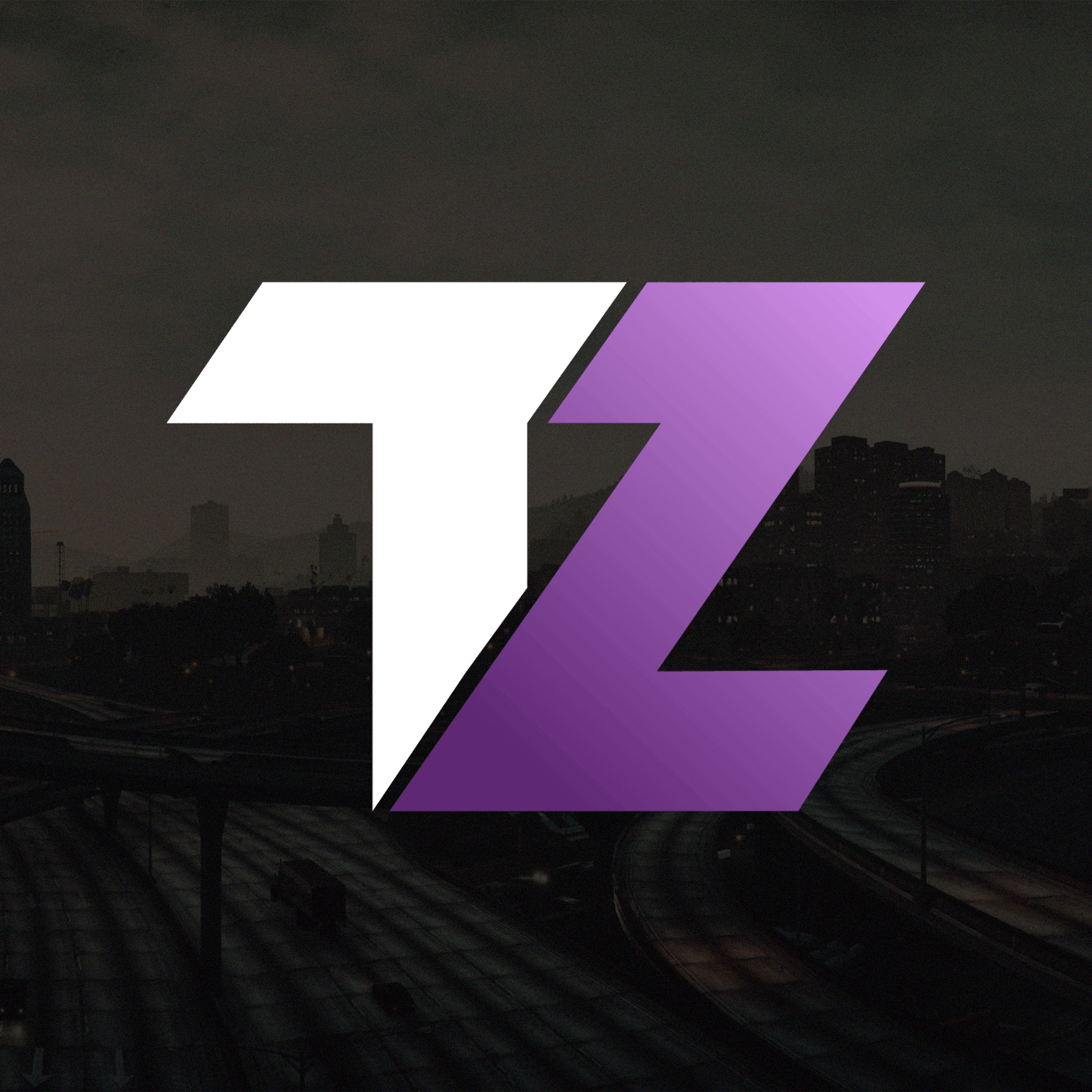 TZ Project – FiveM PvP Softwares
