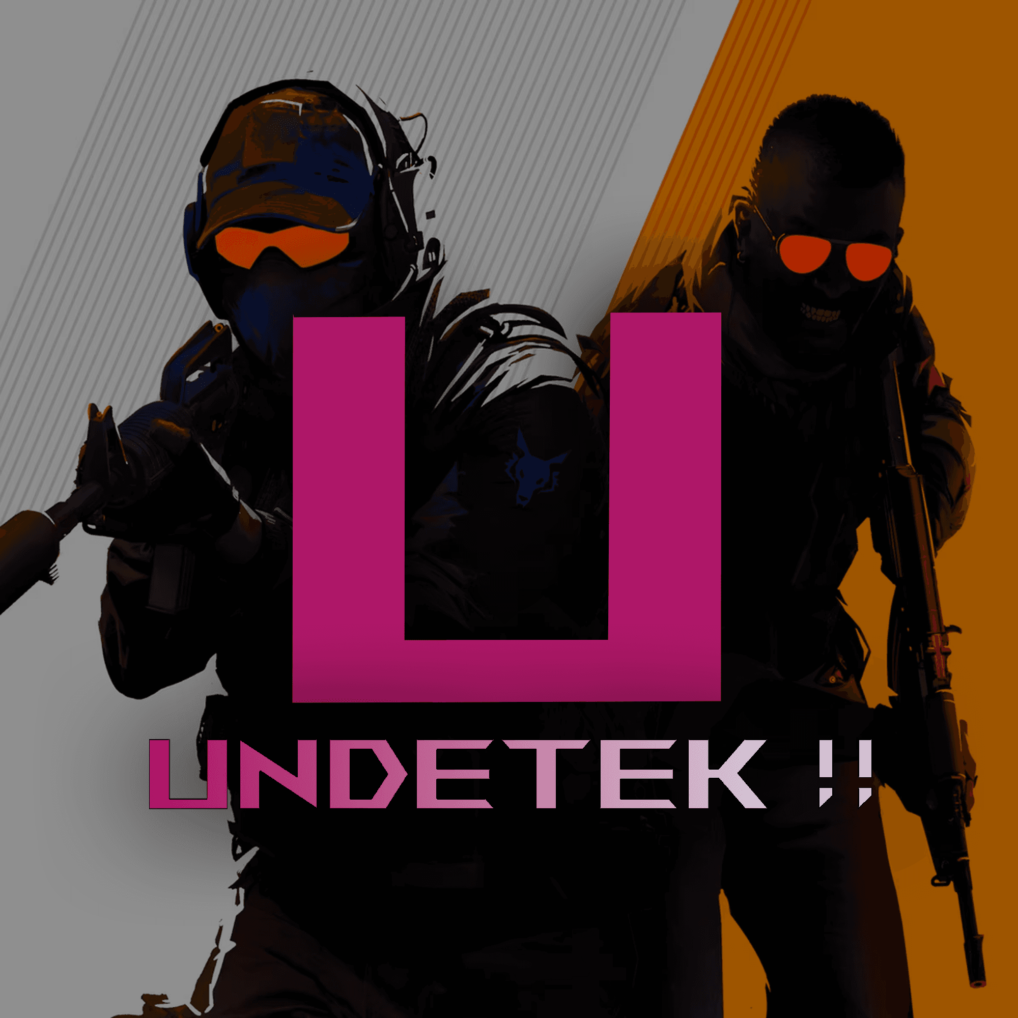 Undetek - External Skin Changer