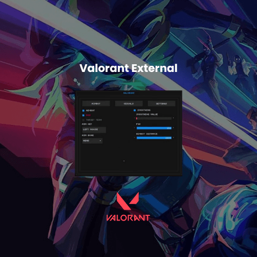 Valorant External Cheat – Aimbot & ESP